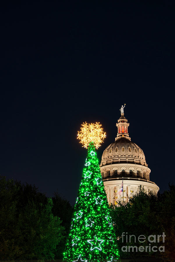 Texas Capitol and Green Tree Photograph by Bob Phillips