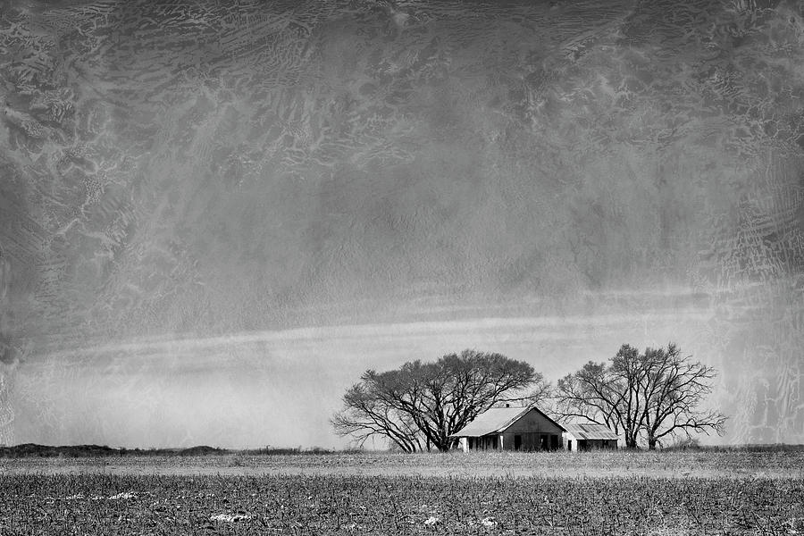 Texas Cotton Farm Photograph by Mary Lee Dereske
