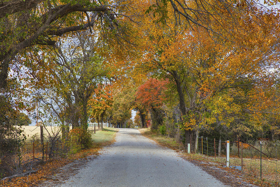 Autumn Colors Photograph - Texas Country Road in Autumn 1 by Rob Greebon