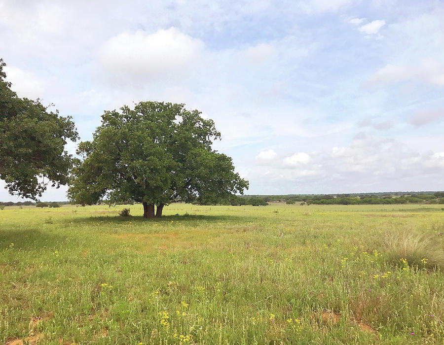 Texas Countryside Photograph by Art Block Collections