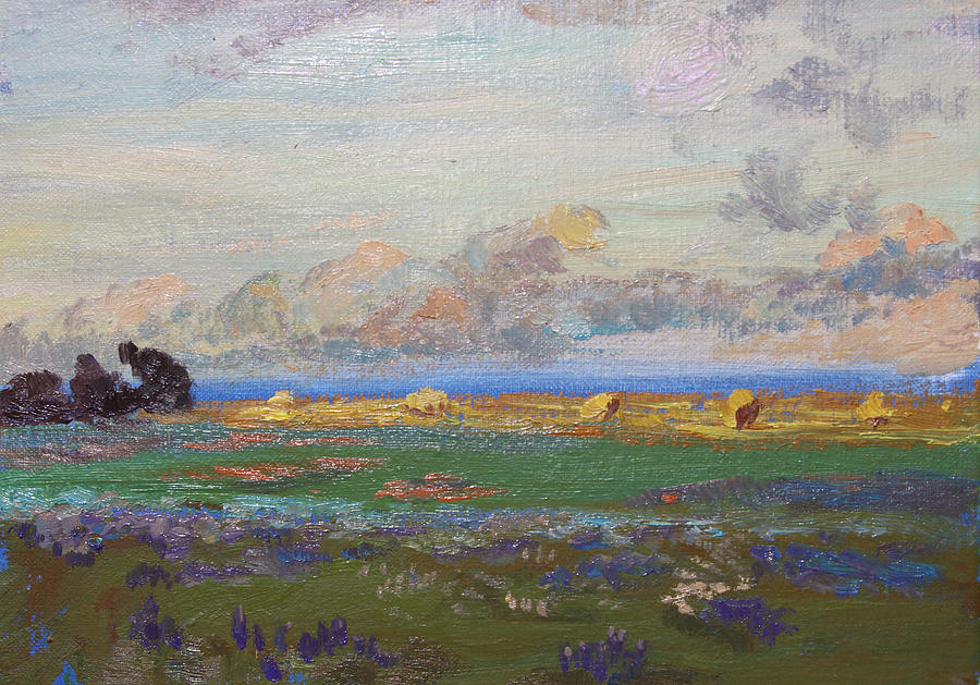 Landscape Painting - Texas Countryside with Haystacks by Maris Salmins