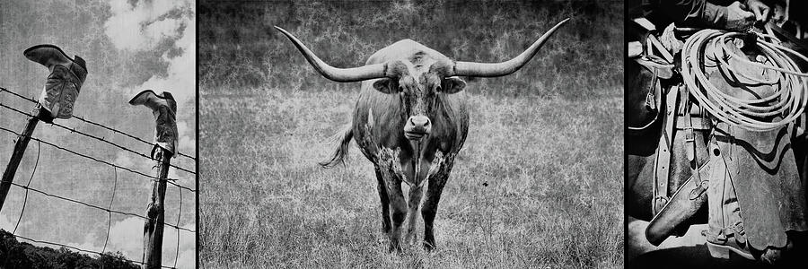 Boot Photograph - Texas Cowboy Collection by Paul Huchton