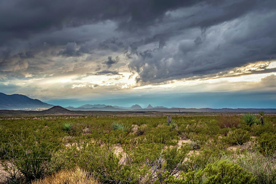 Texas Desert Photograph by Will Wagner