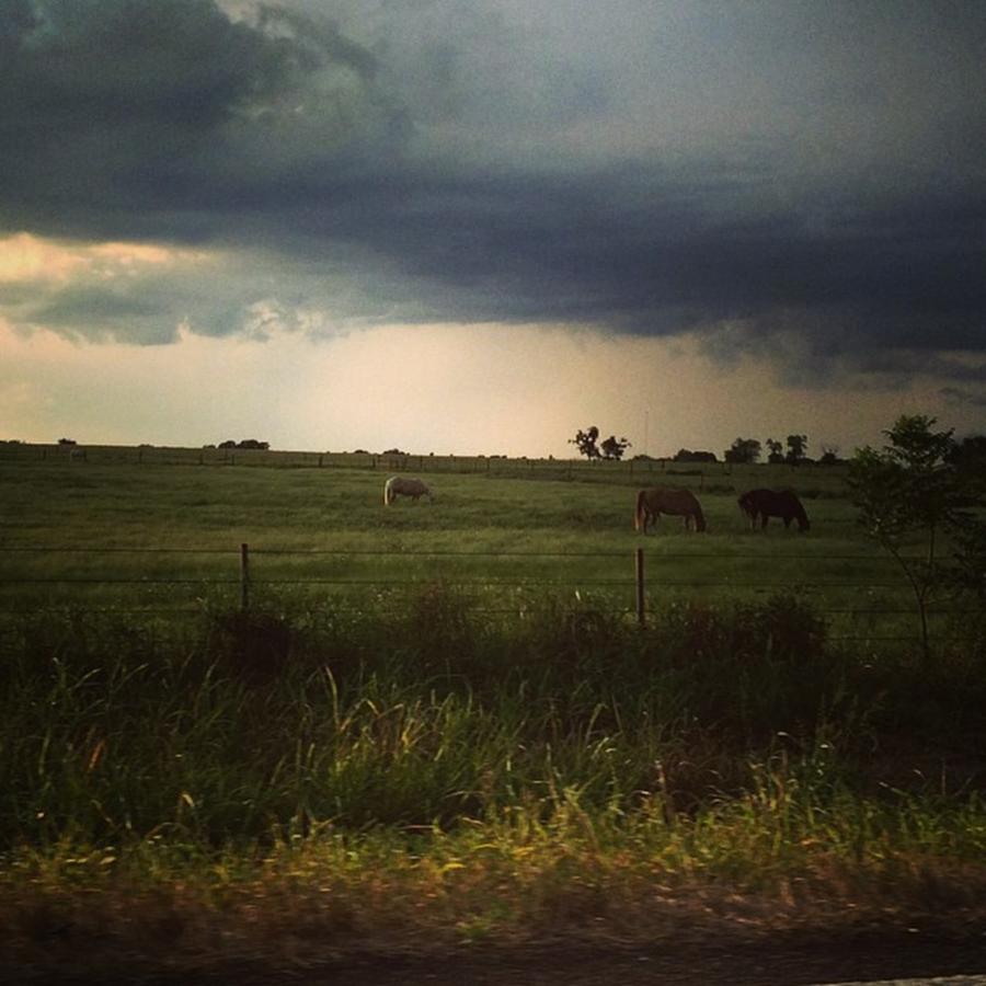 Texas Evening Storm Photograph by Dana Coplin