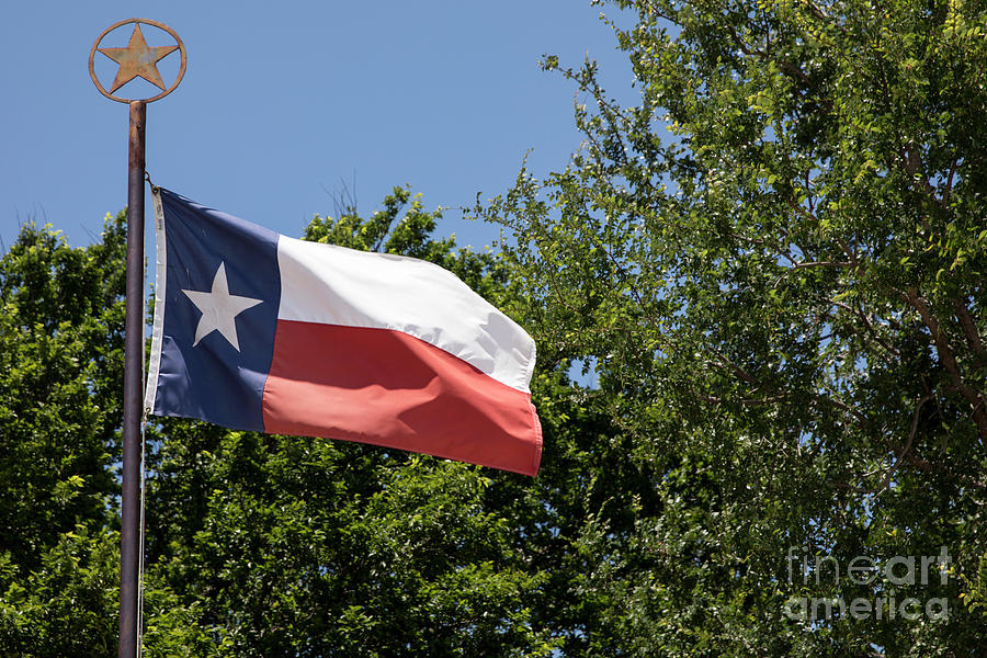 Texas Flag Photograph - Texas Flag and LoneStar emblem on top of the flag pole by Dan Herron