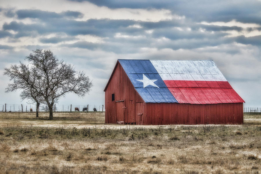 Texas Flag Barn #1 Photograph by Ronnie Prcin