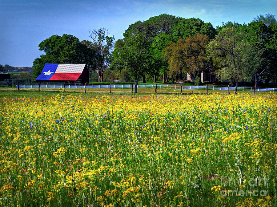 Texas Flag Barn Roof Photograph by Fred Adsit - Fine Art America