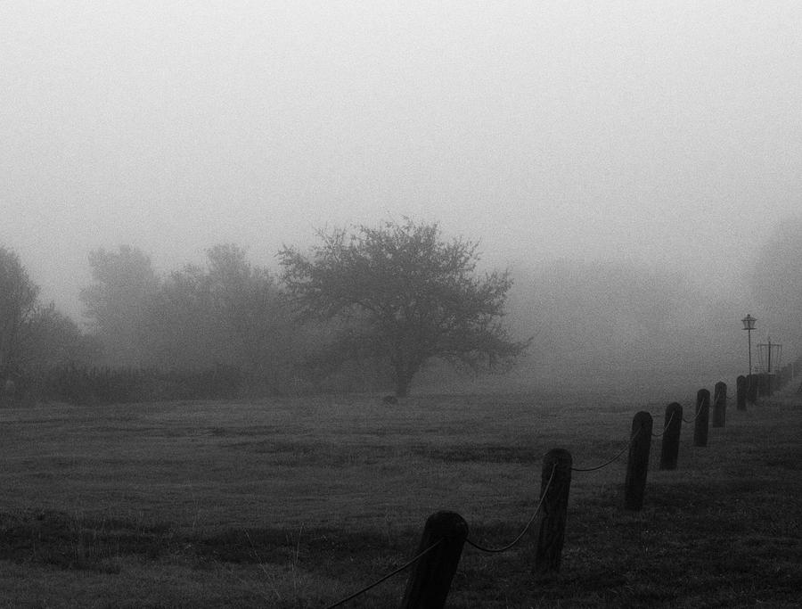 Texas Fog Photograph by Nick Jones - Fine Art America