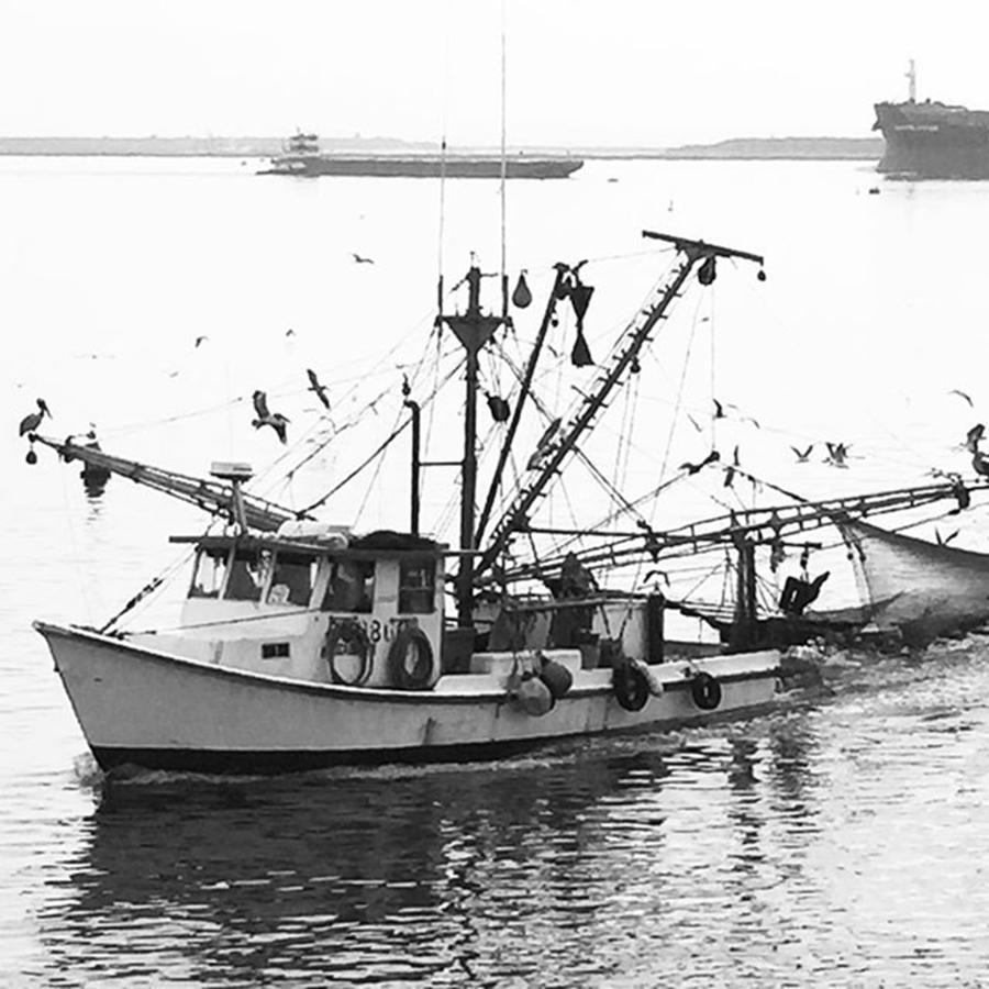 Black And White Photograph - Texas Gulf Coast Shrimp Boat by Adam Graser