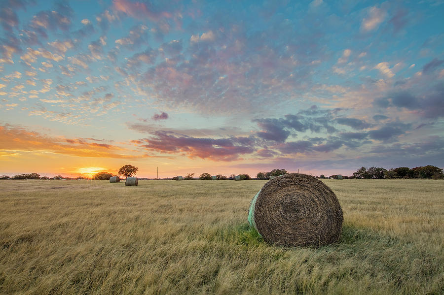 Texas Hay Bales at Sunset 105 Photograph by Rob Greebon