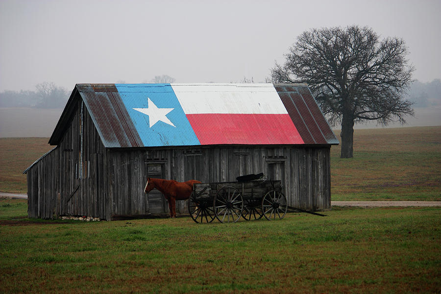 Texas Heritage Photograph by Sara Borden