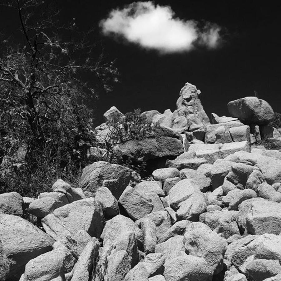 Black And White Photograph - Texas Hill Country by Adam Graser