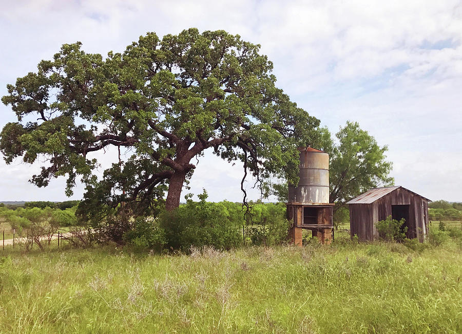 Texas Hill Country Photograph by Art Block Collections