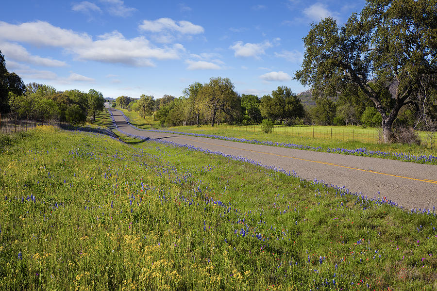Texas Hill Country Spring Roads 1 Photograph