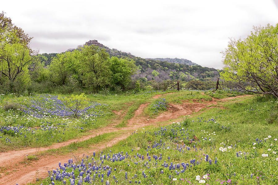 Texas Hill Country Photograph by Victor Culpepper