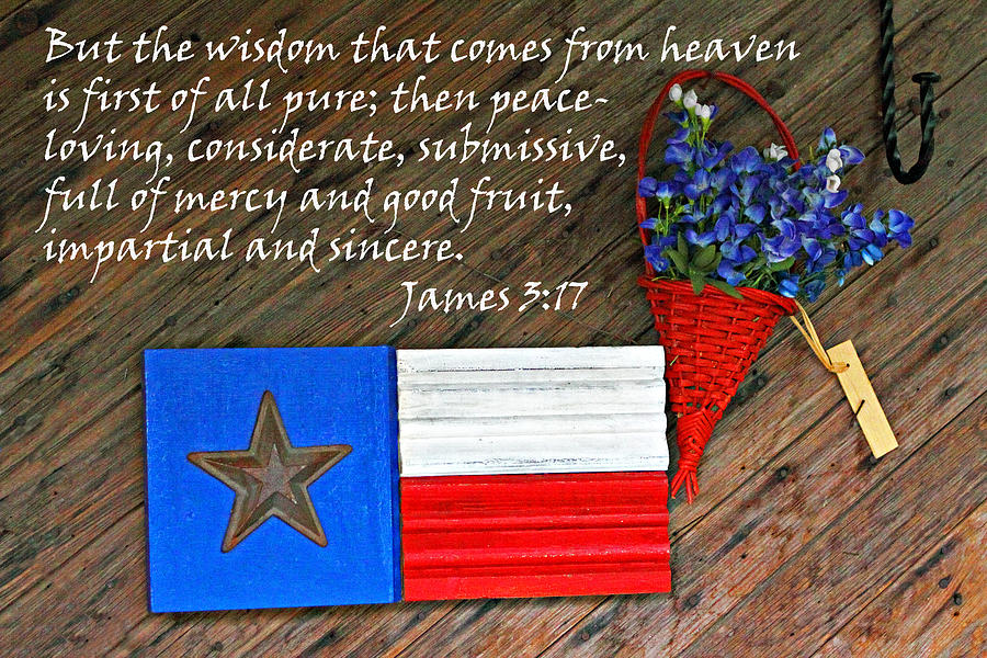 Flag Photograph - Texas Icons James 3v17 by Linda Phelps