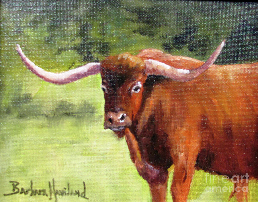 Texas Londhorn Painting by Barbara Haviland