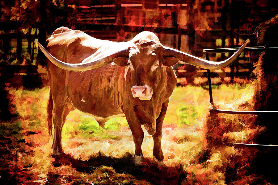Texas Longhorn Cattle 5314.01 Photograph by M K Miller
