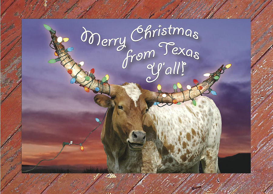 Texas Photograph - Texas Longhorn Christmas Card by Robert Anschutz