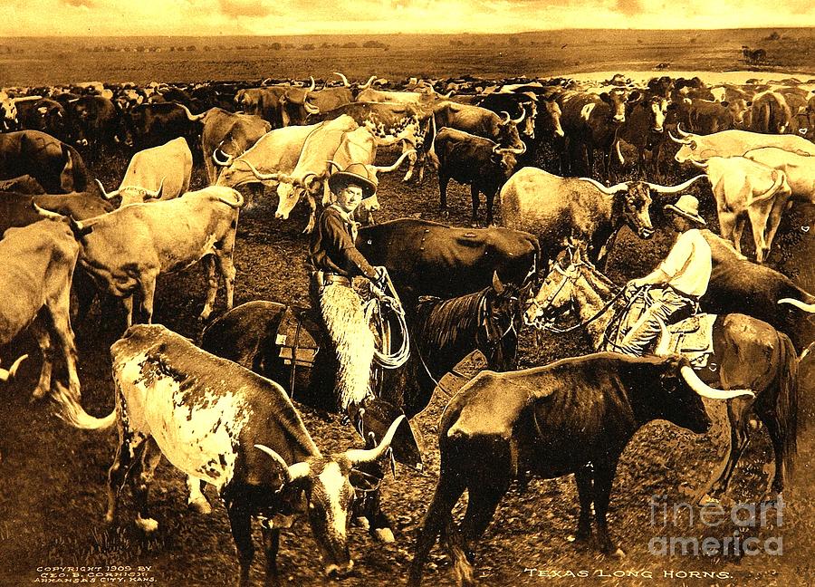 Texas Longhorns 1909 Photograph by Peter Ogden