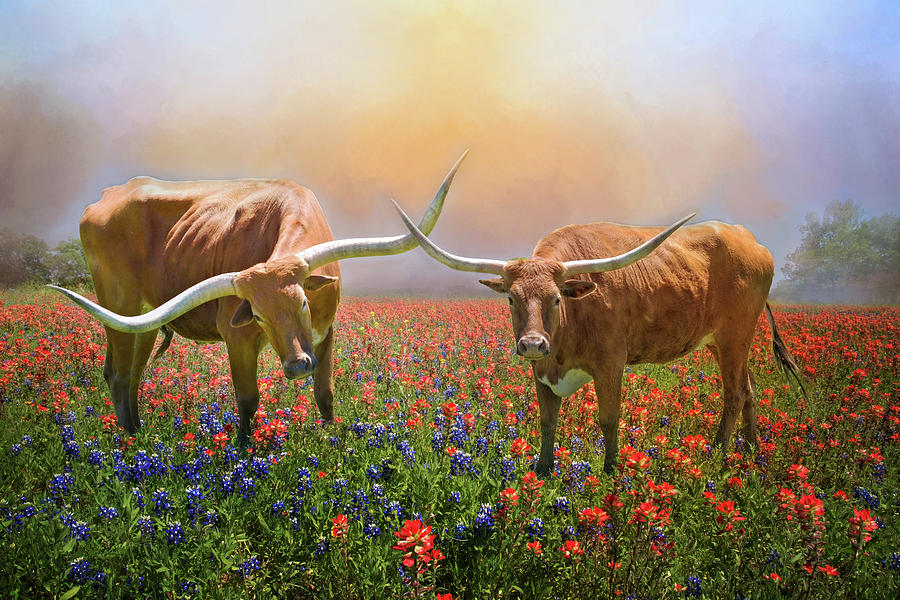 Texas Longhorns in Spring Wildflowers Photograph by Lynn Bauer