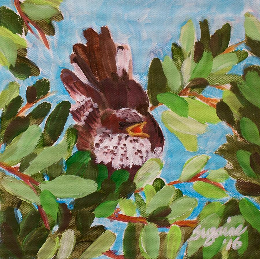 Mockingbird Painting - Texas Mockingbird by Suzaine Smith