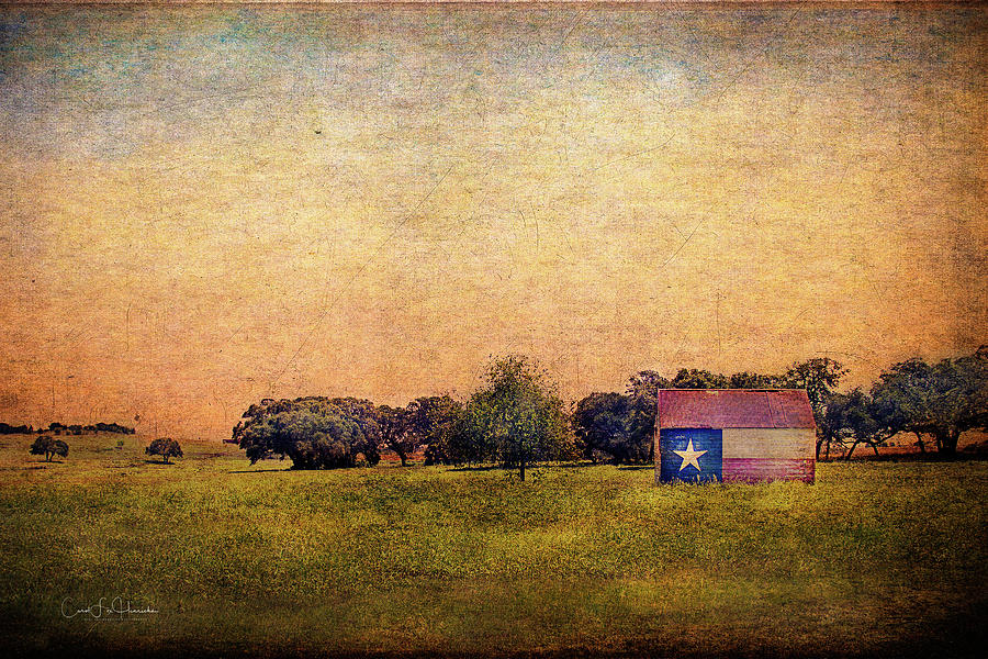 Texas Morn' by Carol Fox Henrichs Texas Morn' by Carol Fox Henrichs