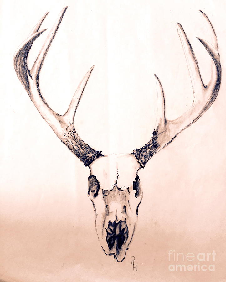 Texas Mount Deer Painting by Rhonda Hancock