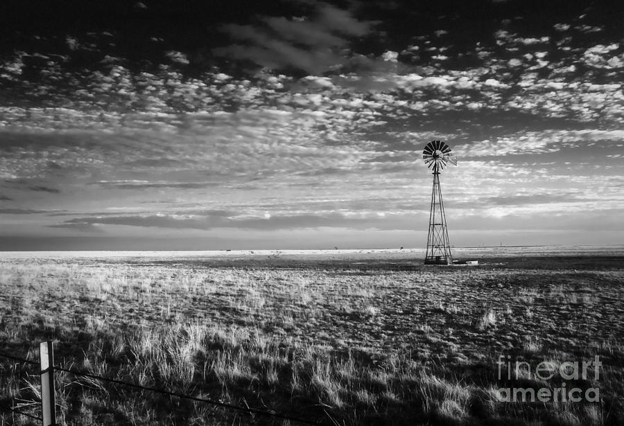 Horse Photograph - Texas Plains Windmill by Fred Lassmann