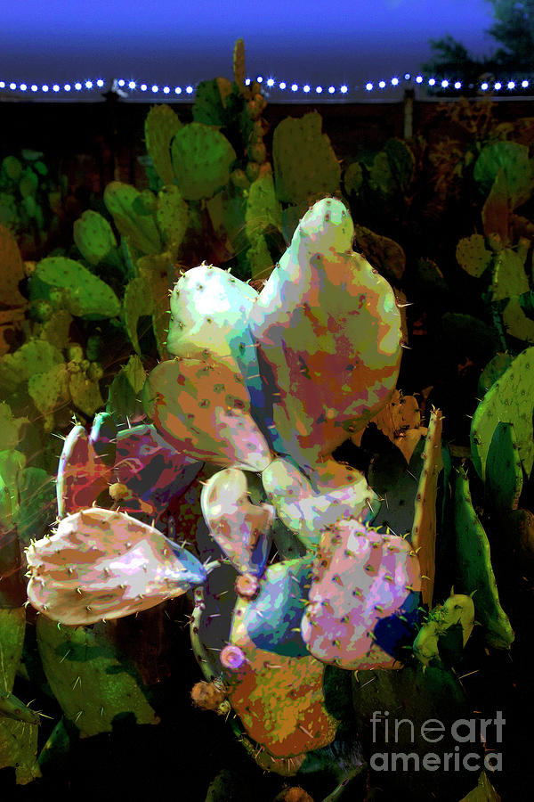 Engelmann's Prickly Pear Photograph - Texas Prickly Pear Posterized Photograph by Greg Kopriva