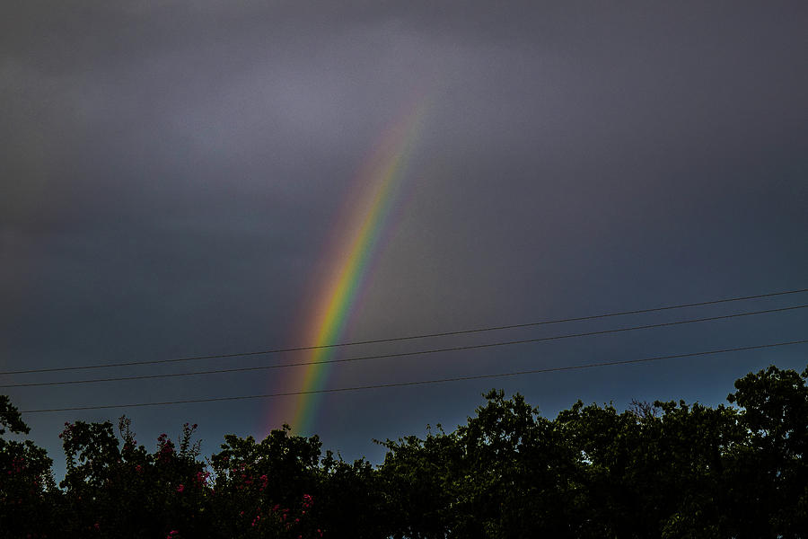 Texas Rainbow Photograph By Michelle Lewis 