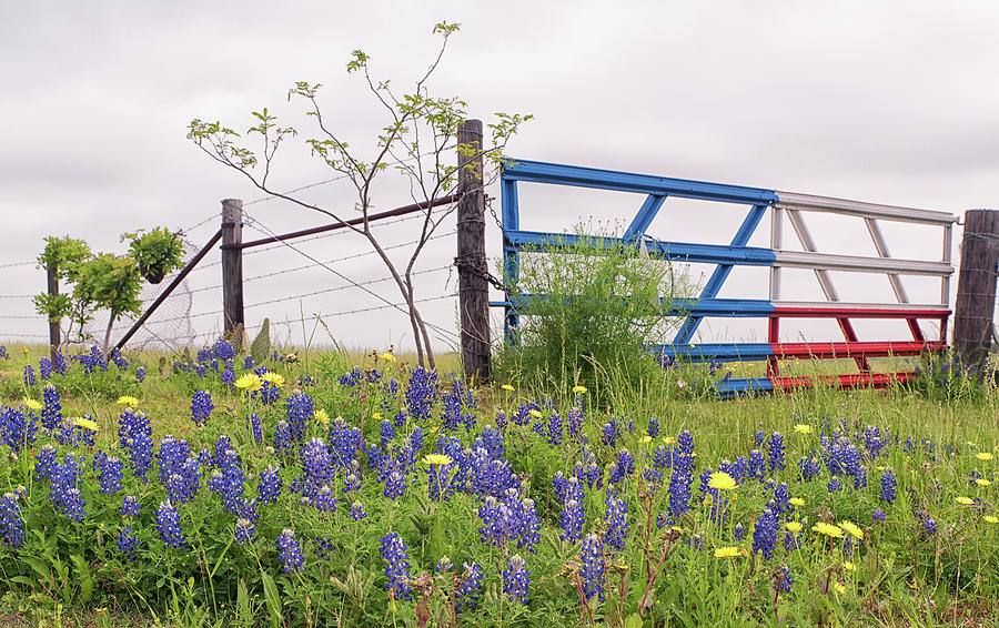 Texas Ranch Gate Photograph by Victor Culpepper