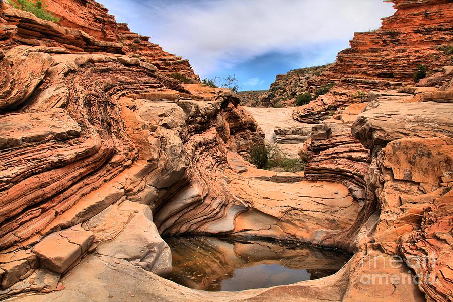 Texas Red Rock Water Hole Photograph by Adam Jewell