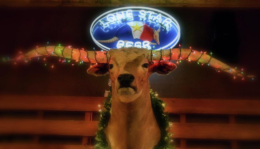 Texas Reindeer Photograph by Nadalyn Larsen