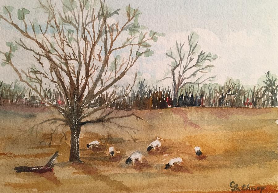 Texas Sheep Painting by Christine Lathrop