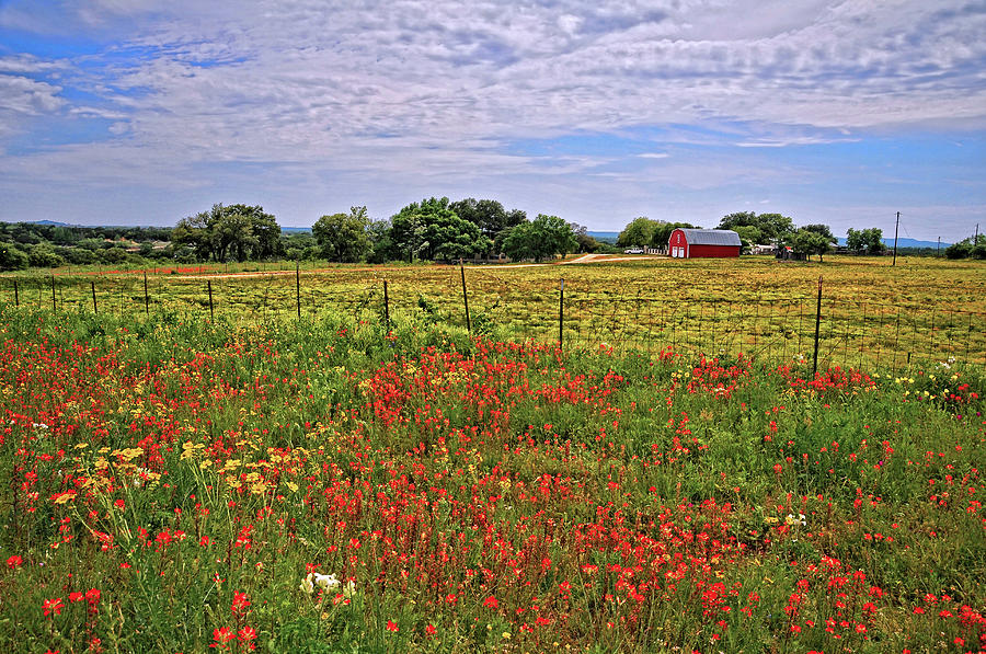Texas Springtime Farm Photograph by Lynn Bauer