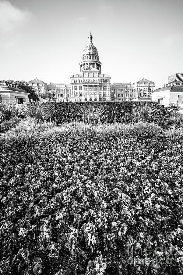 Texas State Capitol Black and White Photo Photograph by Paul Velgos