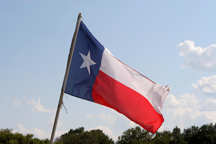 Flag Photograph - Texas State Flag by Linda Phelps
