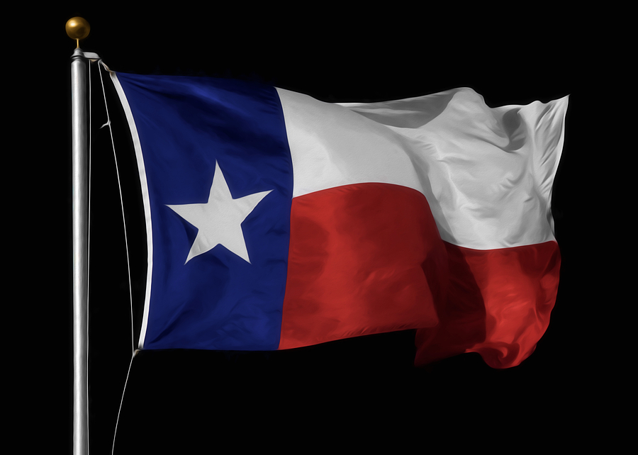 Texas State Flag Photograph by Steven Michael