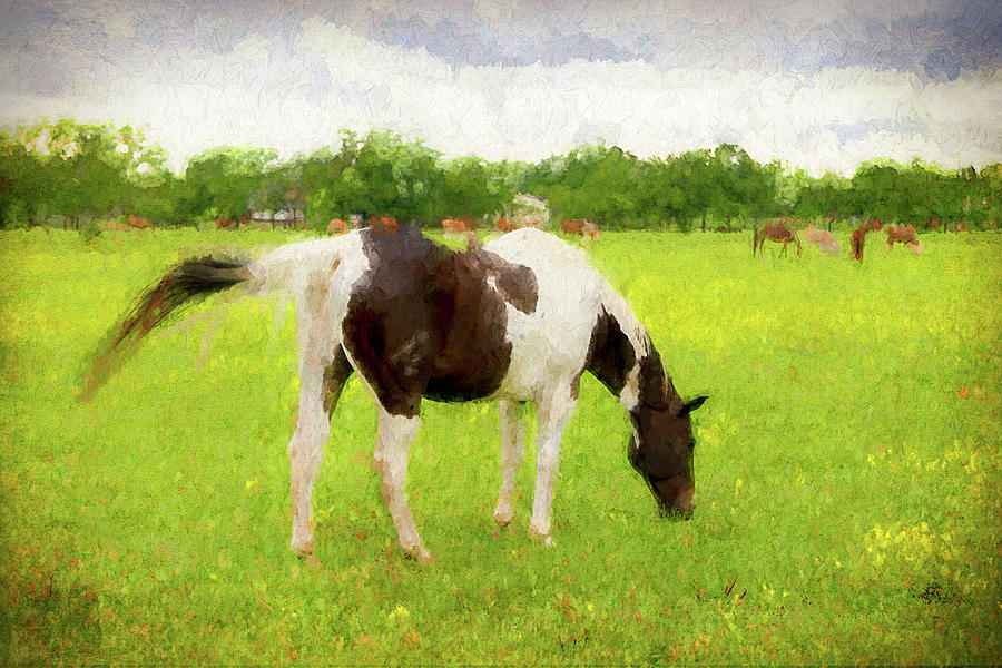 Horse Digital Art - Texas Summer Grazer by Ray Keeling Horse Digital Art - Texas Summer Grazer by Ray Keeling