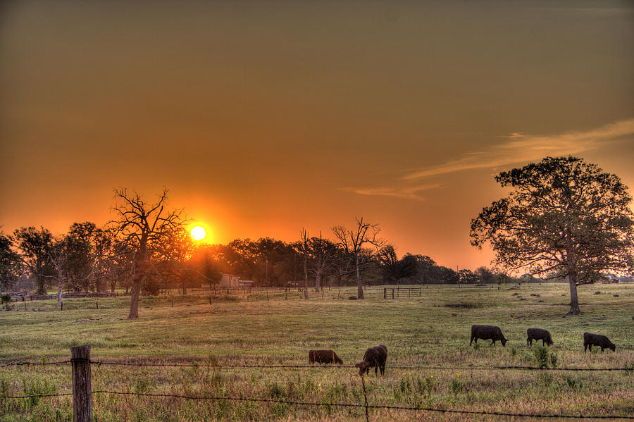 Texas Sunrise Photograph by Barry Jones