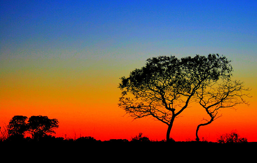 Sunset Photograph - Texas Sunset by Kori Creswell