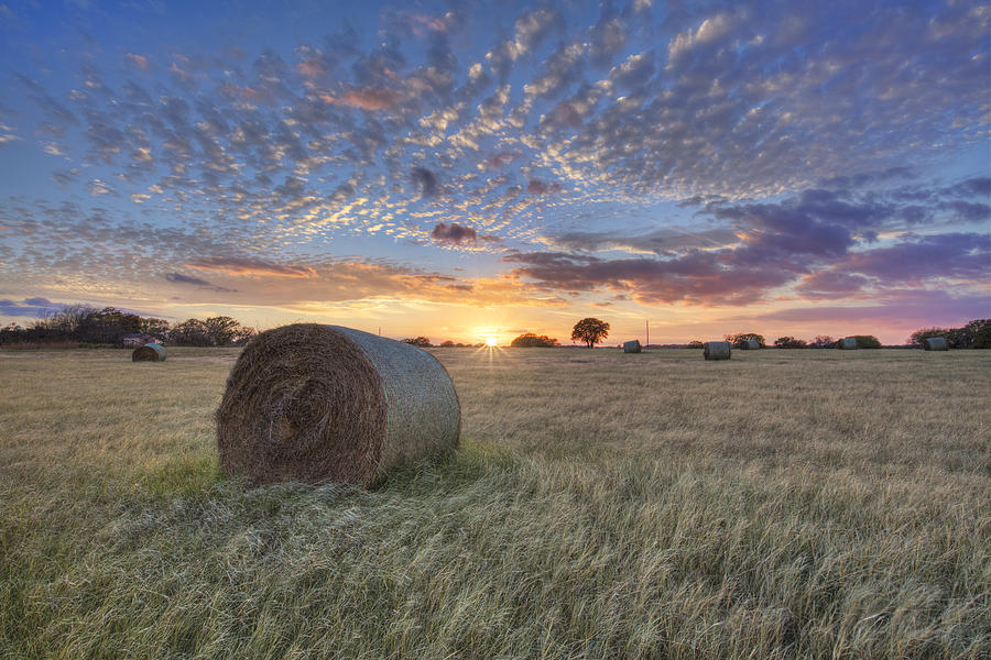Texas Sunset over a field of Hay 1 Photograph by Rob Greebon