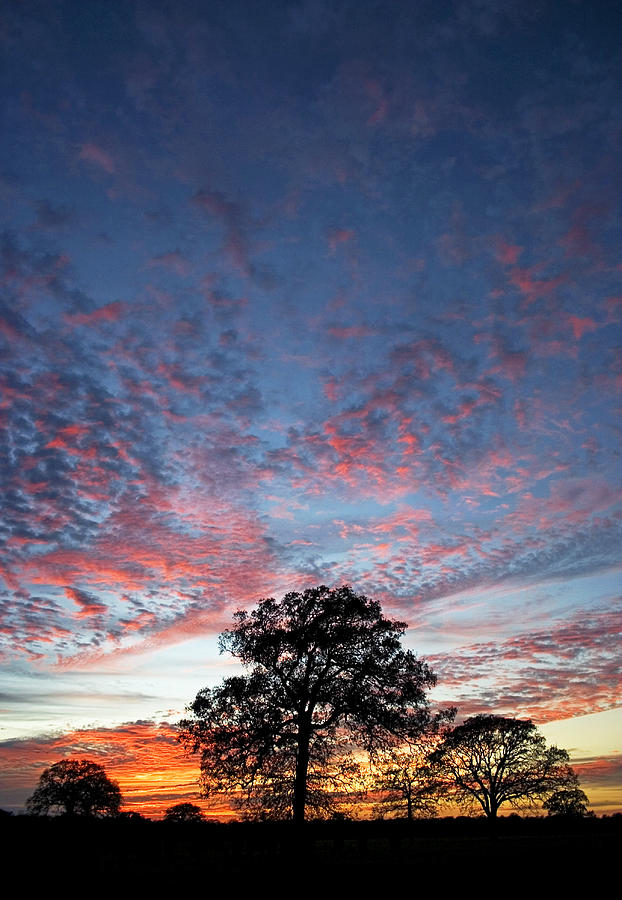Sunset Photograph - Texas Sunset by Skip Hunt