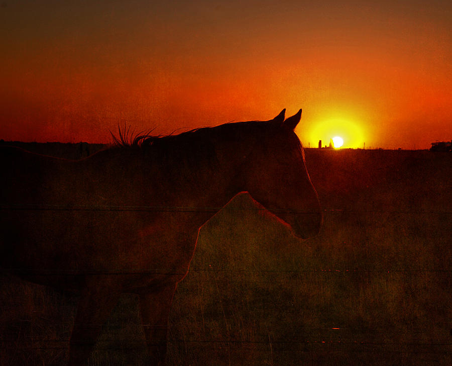 Texas Sunset Photograph by Susanne Van Hulst