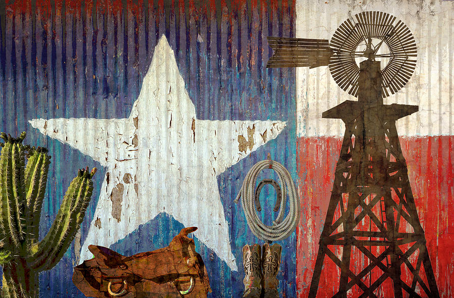Texas The Lone Star State Photograph by Suzanne Powers