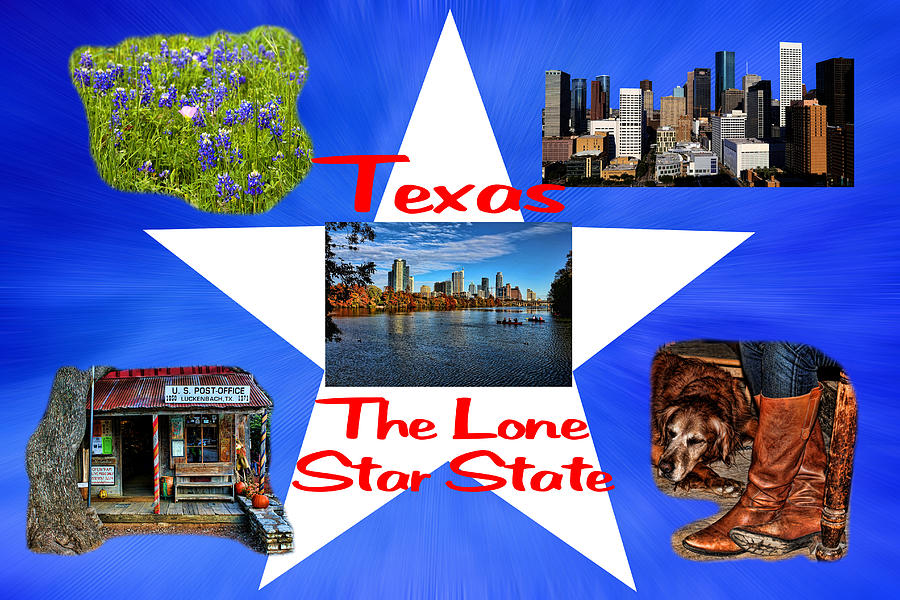 Texas The Lone Star State Photograph by Judy Vincent