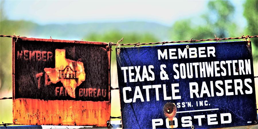 Texas Traditions Photograph by John Glass