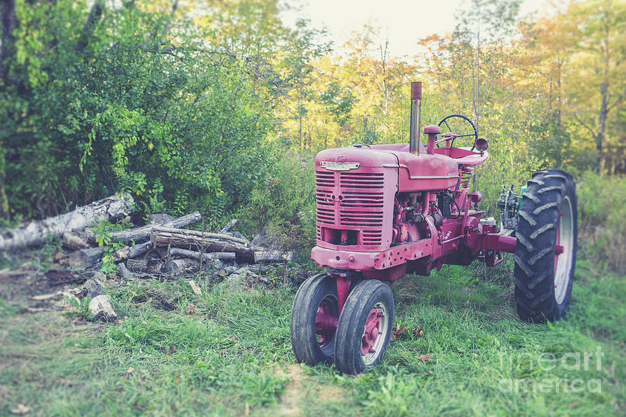 Texas Vintage Farmall, Tractor Photograph by Edward Fielding