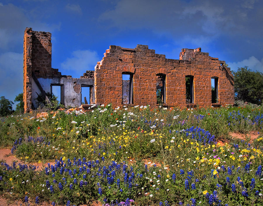 Texas Wildflowers Among The Ruins Photograph by David and Carol Kelly